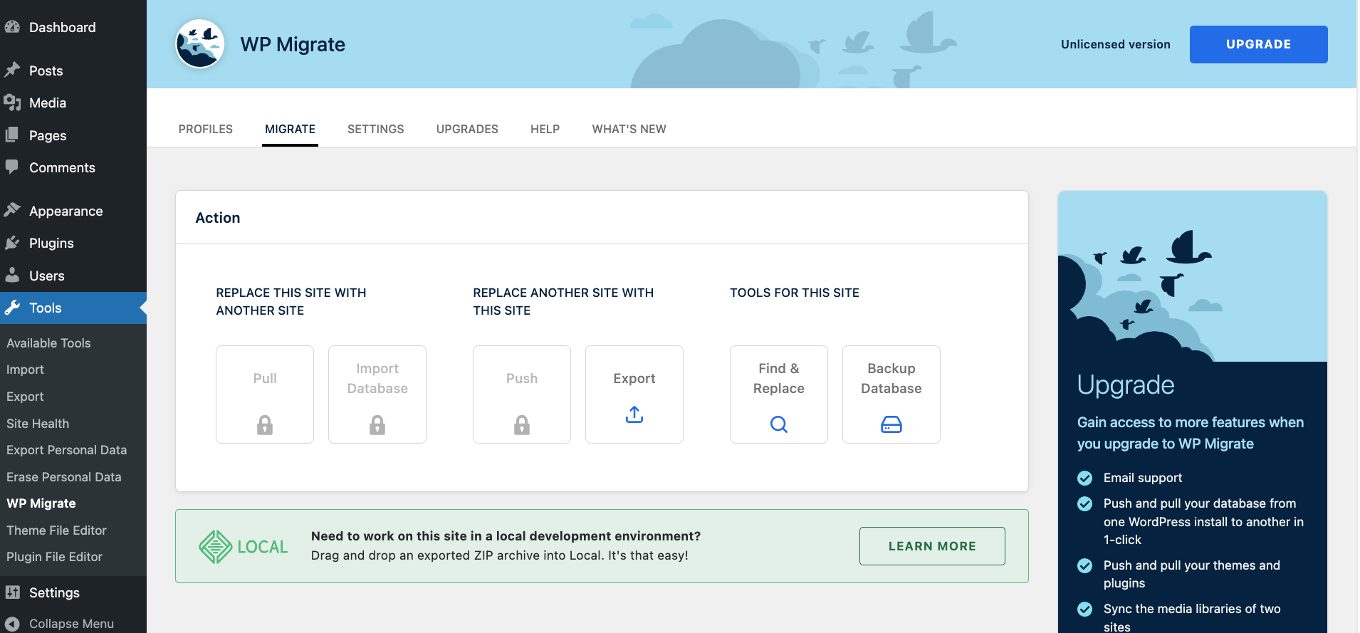 The Migrate tab in WP Migrate Lite, showing various options including "Export."