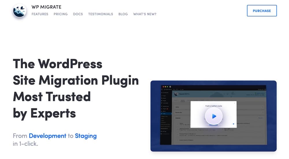 WP Migrate 