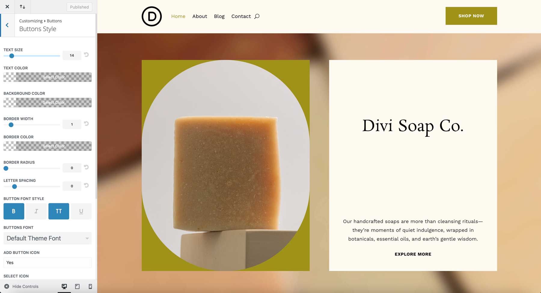 Soap starter site for Divi